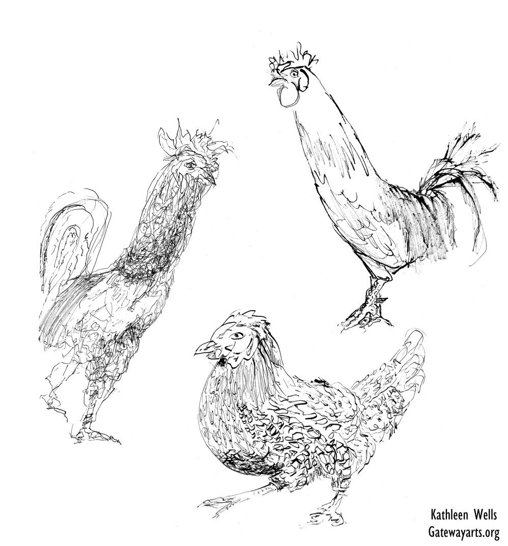 Chicken drawing by Kathleen Wells