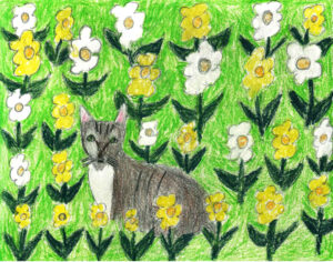 Untitled (Cat) drawing by Mary DeCesar
