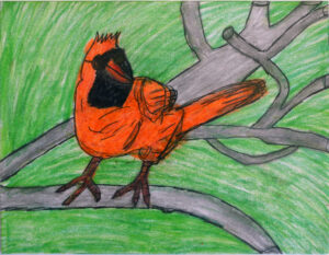 Cardinal card by Betty Antoine