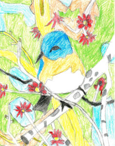 Bird card by Emmanuel Preston