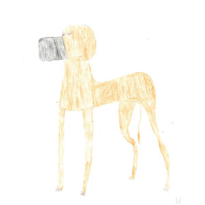 Untitled dog by Parker Stallworth
