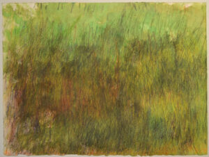 Untitled (green) drawing by John Colby