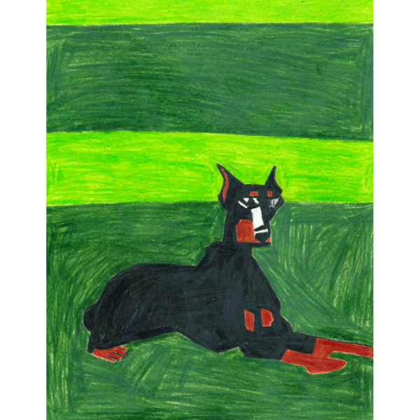 Doberman Pinscher spring drawing by Neri Avraham