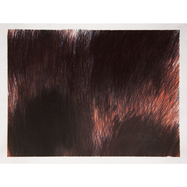 Drawing - Untitled by John Colby