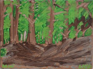 Woodland Forest by Mimi Clark