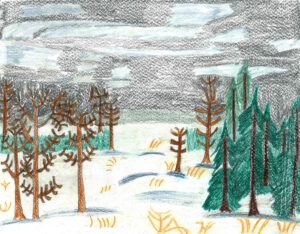 Winter Drawing by Patrick Shea